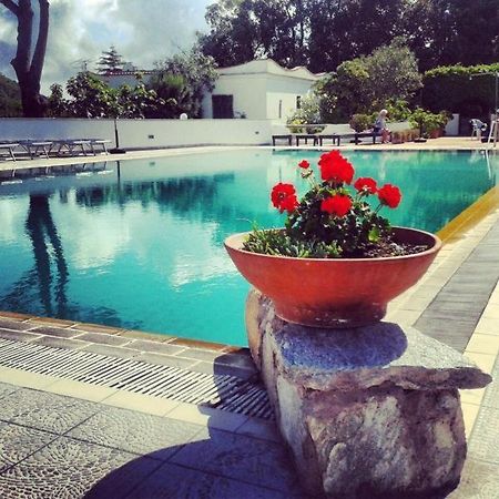 Hotel Al Bosco Forio di Ischia Eksteriør billede